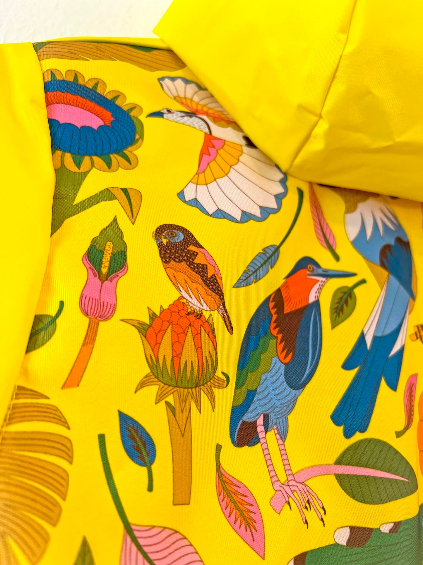 Capa - Aves del Paraíso - Costa Rica
