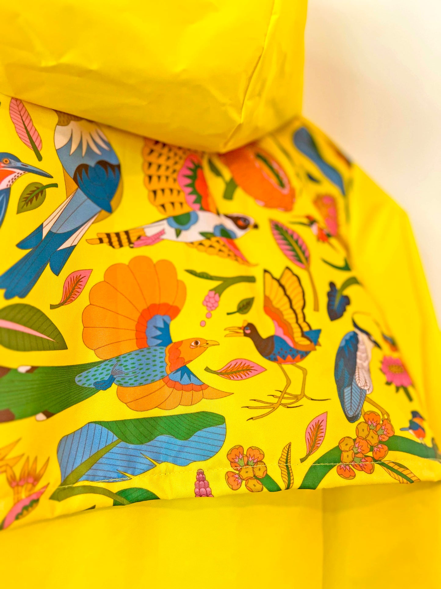 Capa - Aves del Paraíso - Costa Rica
