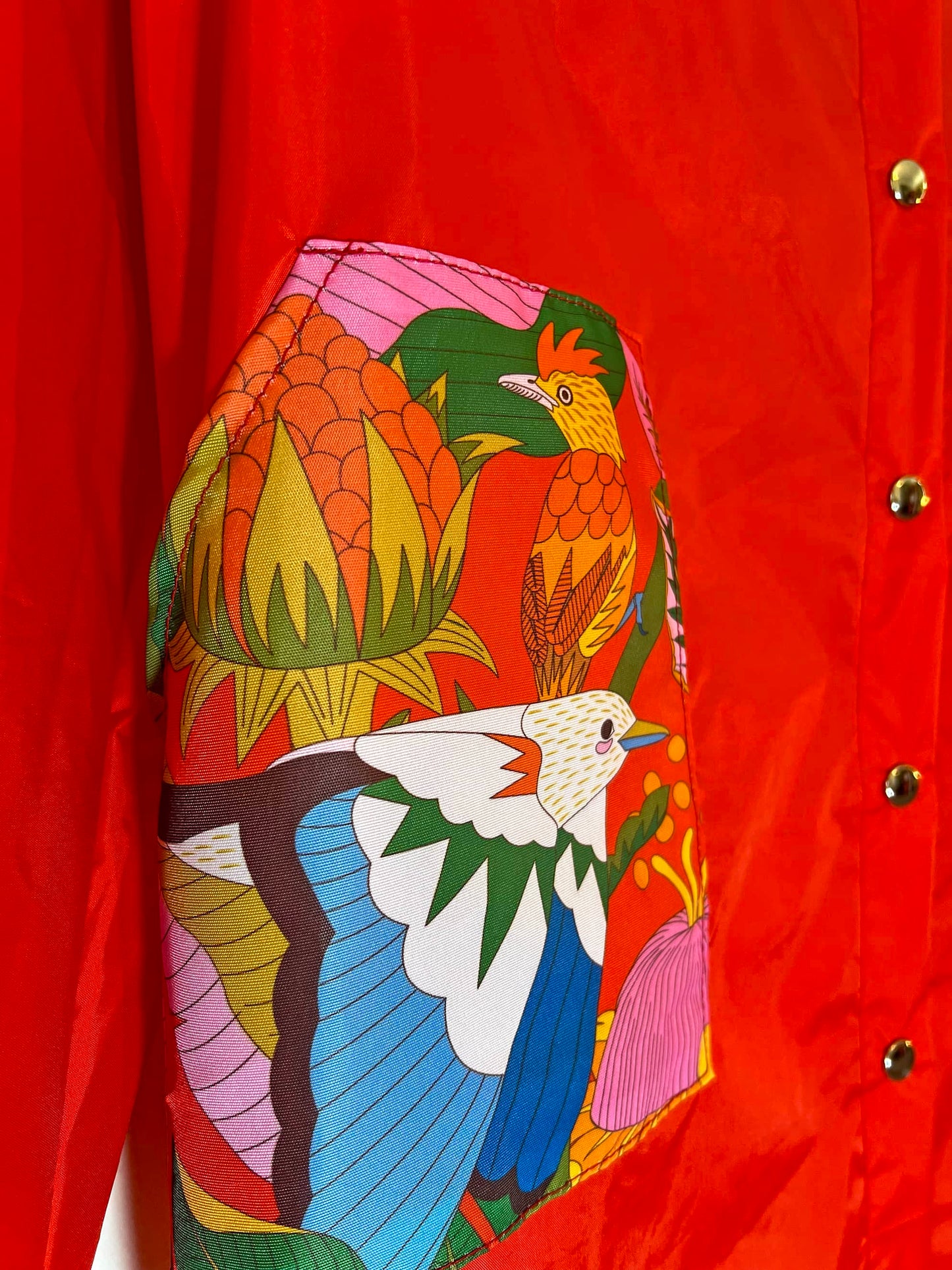 Capa - Aves del Paraíso - Capulinero Colilargo y Tijereta (roja)