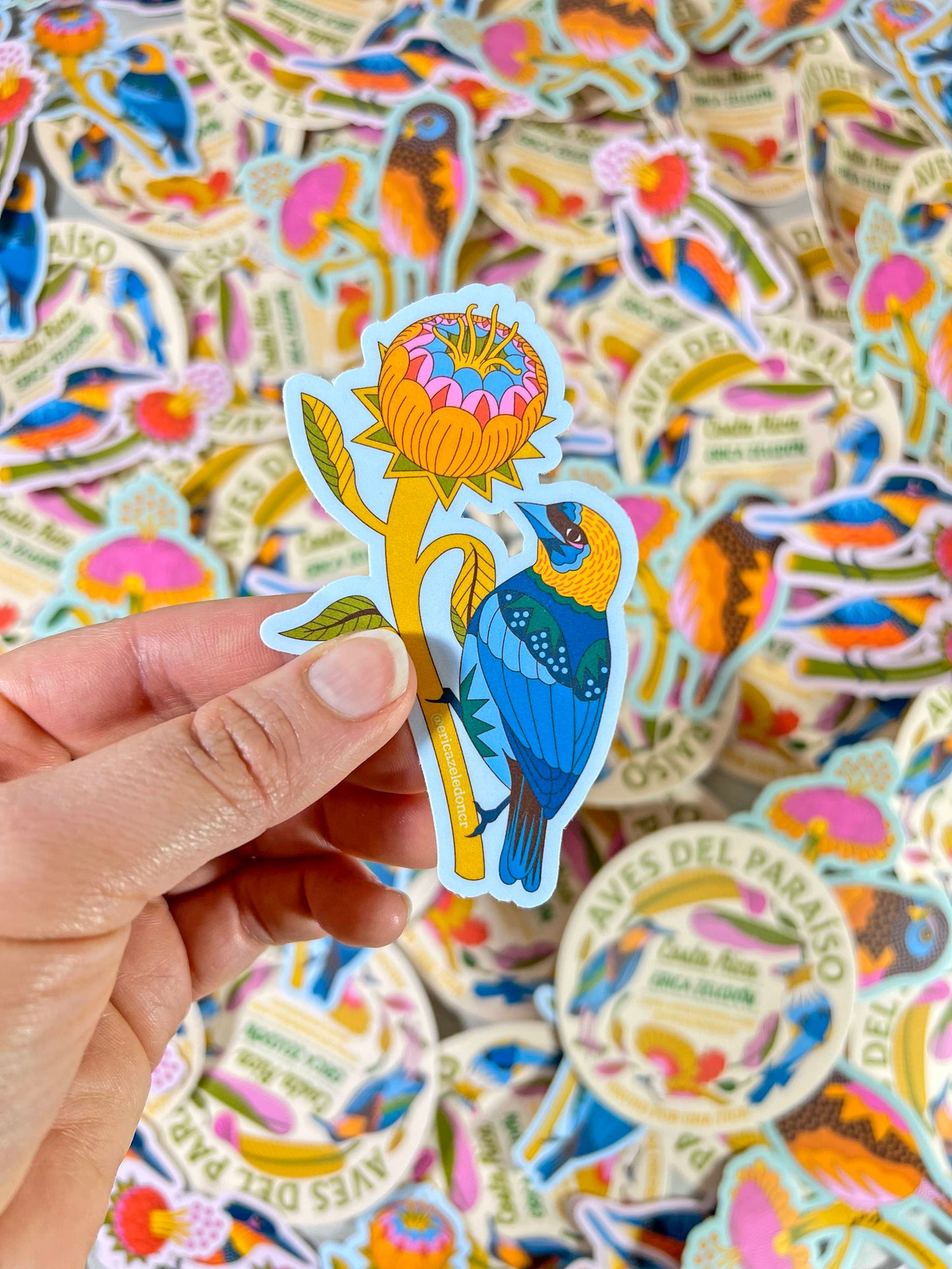 Paquete de stickers - Aves del Paraíso