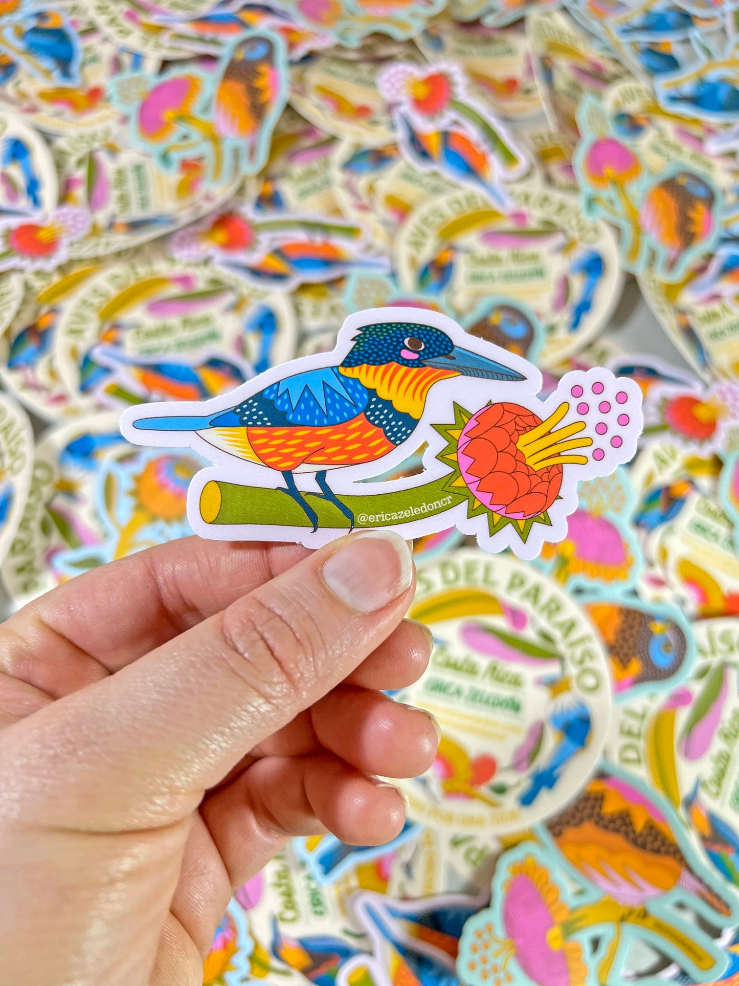 Paquete de stickers - Aves del Paraíso