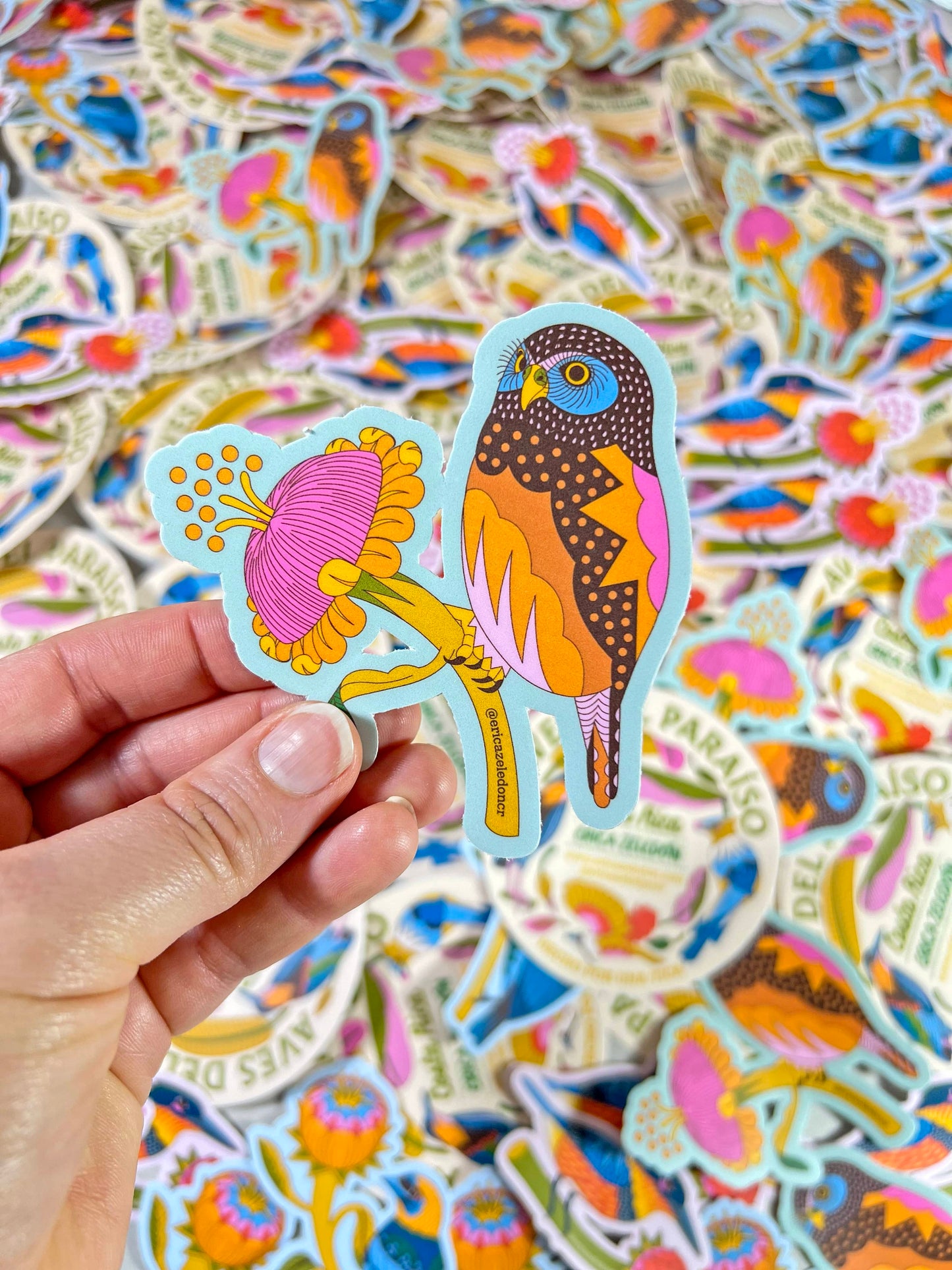 Paquete de stickers - Aves del Paraíso