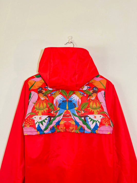 Capa - Aves del Paraíso - Capulinero Colilargo y Tijereta (roja)