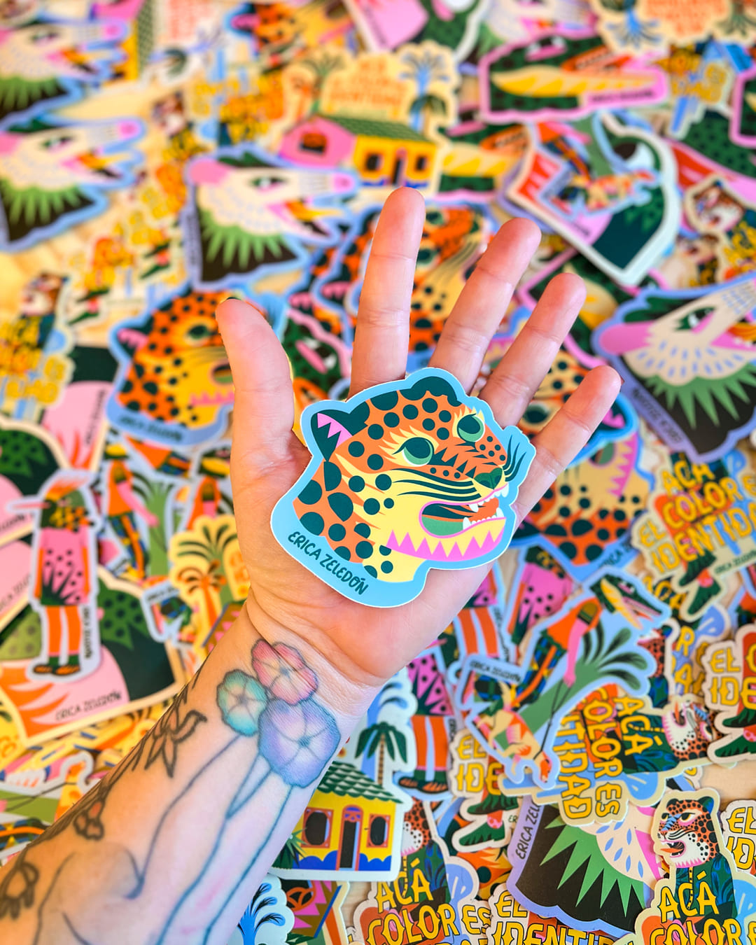 Paquete de stickers - Acá el color es identidad