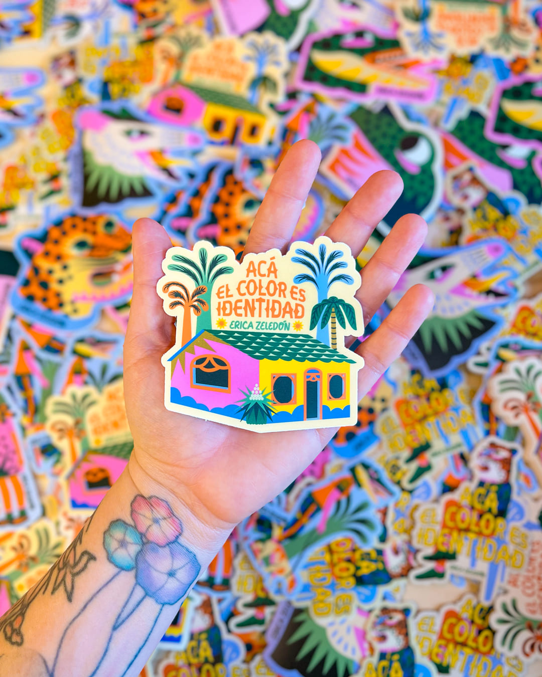 Paquete de stickers - Acá el color es identidad